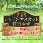 お知らせ