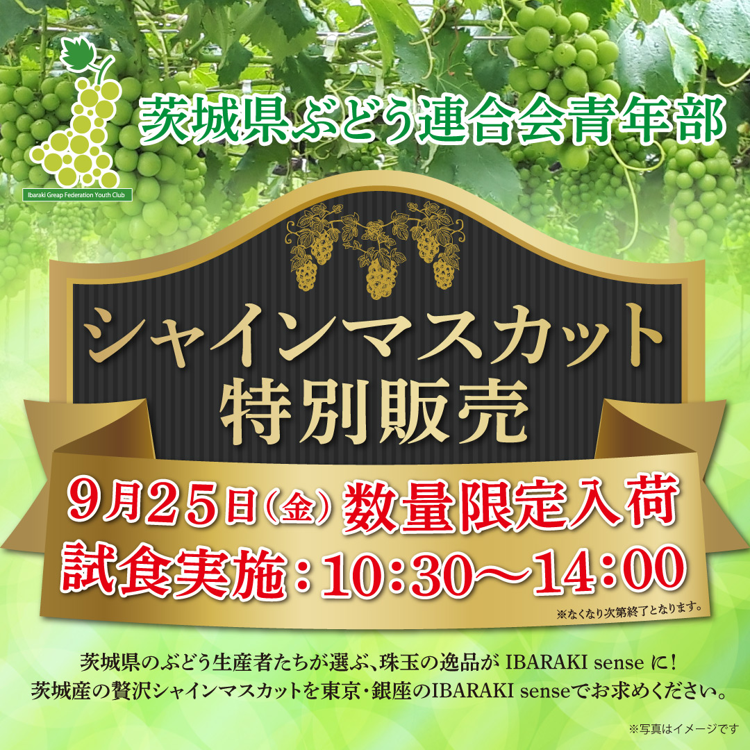 お知らせ